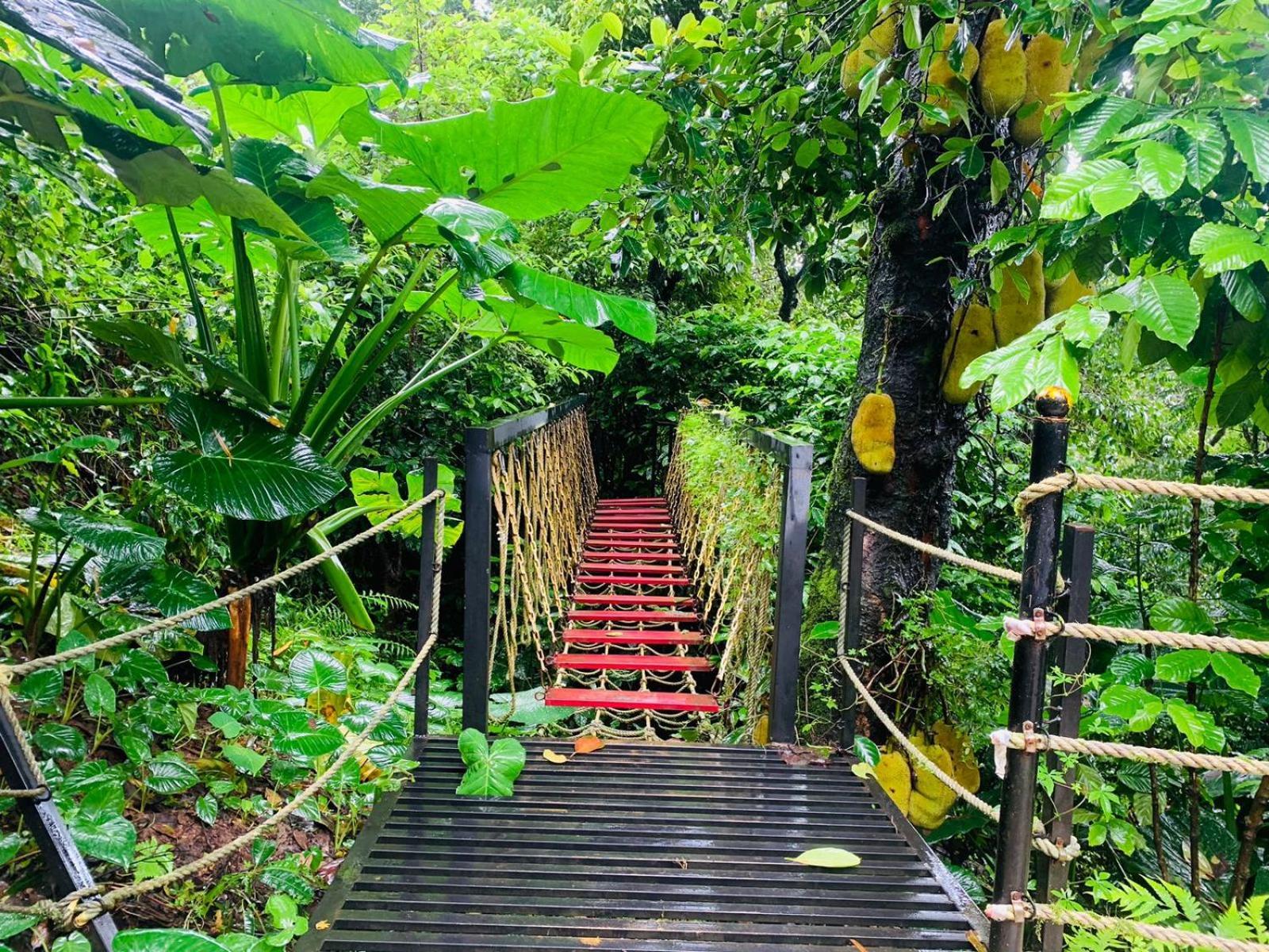 The Mountain Shades Resort Madikeri Luaran gambar