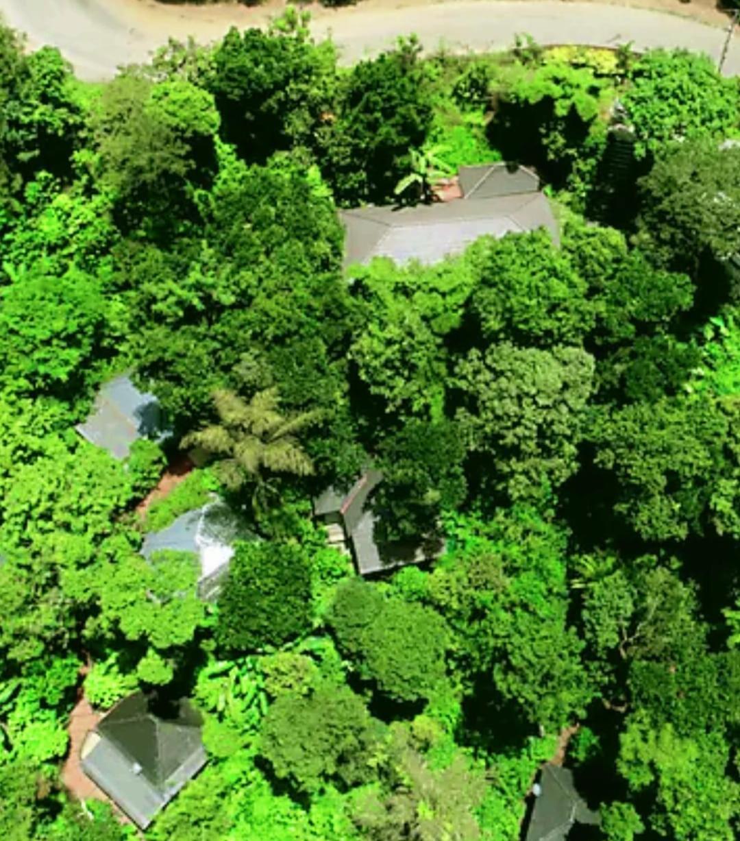 The Mountain Shades Resort Madikeri Luaran gambar